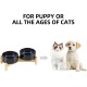 Havniva Ceramic 7.3inch Raised Double Bowls Set with Wooden Stand, Food & Water Bowls for Medium Breed Dogs, Weighted Dog Dishes, Pet Feeder( Light Green) Havniva Ceramic 7.3inch Raised Double Bowls Set with Wooden Stand, Food & Water Bowls for Medium Breed Dogs, Weighted Dog Dishes, Pet Feeder( Light Green)
