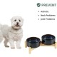 Havniva Ceramic 7.3inch Raised Double Bowls Set with Wooden Stand, Food & Water Bowls for Medium Breed Dogs, Weighted Dog Dishes, Pet Feeder( Light Green) Havniva Ceramic 7.3inch Raised Double Bowls Set with Wooden Stand, Food & Water Bowls for Medium Breed Dogs, Weighted Dog Dishes, Pet Feeder( Light Green)