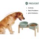 Havniva Ceramic 7.3inch Raised Double Bowls Set with Wooden Stand, Food & Water Bowls for Medium Breed Dogs, Weighted Dog Dishes, Pet Feeder( Light Green) Havniva Ceramic 7.3inch Raised Double Bowls Set with Wooden Stand, Food & Water Bowls for Medium Breed Dogs, Weighted Dog Dishes, Pet Feeder( Light Green)