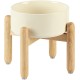Havniva Ceramic 7.3inch Raised Double Bowls Set with Wooden Stand, Food & Water Bowls for Medium Breed Dogs, Weighted Dog Dishes, Pet Feeder( Light Green) Havniva Ceramic 7.3inch Raised Double Bowls Set with Wooden Stand, Food & Water Bowls for Medium Breed Dogs, Weighted Dog Dishes, Pet Feeder( Light Green)