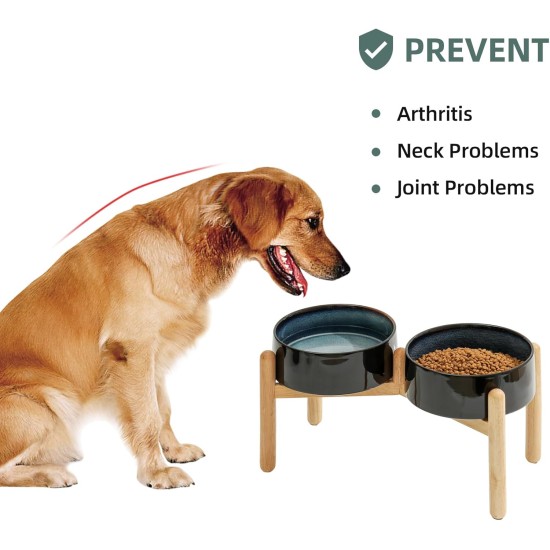 Havniva Ceramic 7.3inch Raised Double Bowls Set with Wooden Stand, Food & Water Bowls for Medium Breed Dogs, Weighted Dog Dishes, Pet Feeder( Light Green) Havniva Ceramic 7.3inch Raised Double Bowls Set with Wooden Stand, Food & Water Bowls for Medium Breed Dogs, Weighted Dog Dishes, Pet Feeder( Light Green)