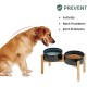 Havniva Ceramic 7.3inch Raised Double Bowls Set with Wooden Stand, Food & Water Bowls for Medium Breed Dogs, Weighted Dog Dishes, Pet Feeder( Light Green) Havniva Ceramic 7.3inch Raised Double Bowls Set with Wooden Stand, Food & Water Bowls for Medium Breed Dogs, Weighted Dog Dishes, Pet Feeder( Light Green)