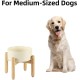 Havniva Ceramic 7.3inch Raised Double Bowls Set with Wooden Stand, Food & Water Bowls for Medium Breed Dogs, Weighted Dog Dishes, Pet Feeder( Light Green) Havniva Ceramic 7.3inch Raised Double Bowls Set with Wooden Stand, Food & Water Bowls for Medium Breed Dogs, Weighted Dog Dishes, Pet Feeder( Light Green)