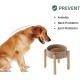 Havniva Ceramic 7.3inch Raised Double Bowls Set with Wooden Stand, Food & Water Bowls for Medium Breed Dogs, Weighted Dog Dishes, Pet Feeder( Light Green) Havniva Ceramic 7.3inch Raised Double Bowls Set with Wooden Stand, Food & Water Bowls for Medium Breed Dogs, Weighted Dog Dishes, Pet Feeder( Light Green)