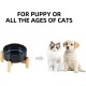 Havniva Ceramic 7.3inch Raised Double Bowls Set with Wooden Stand, Food & Water Bowls for Medium Breed Dogs, Weighted Dog Dishes, Pet Feeder( Light Green) Havniva Ceramic 7.3inch Raised Double Bowls Set with Wooden Stand, Food & Water Bowls for Medium Breed Dogs, Weighted Dog Dishes, Pet Feeder( Light Green)