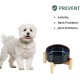 Havniva Ceramic 7.3inch Raised Double Bowls Set with Wooden Stand, Food & Water Bowls for Medium Breed Dogs, Weighted Dog Dishes, Pet Feeder( Light Green) Havniva Ceramic 7.3inch Raised Double Bowls Set with Wooden Stand, Food & Water Bowls for Medium Breed Dogs, Weighted Dog Dishes, Pet Feeder( Light Green)