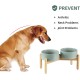 Havniva Ceramic 7.3inch Raised Double Bowls Set with Wooden Stand, Food & Water Bowls for Medium Breed Dogs, Weighted Dog Dishes, Pet Feeder( Light Green) Havniva Ceramic 7.3inch Raised Double Bowls Set with Wooden Stand, Food & Water Bowls for Medium Breed Dogs, Weighted Dog Dishes, Pet Feeder( Light Green)