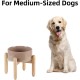 Havniva Ceramic 7.3inch Raised Double Bowls Set with Wooden Stand, Food & Water Bowls for Medium Breed Dogs, Weighted Dog Dishes, Pet Feeder( Light Green) Havniva Ceramic 7.3inch Raised Double Bowls Set with Wooden Stand, Food & Water Bowls for Medium Breed Dogs, Weighted Dog Dishes, Pet Feeder( Light Green)