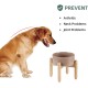 Havniva Ceramic 7.3inch Raised Double Bowls Set with Wooden Stand, Food & Water Bowls for Medium Breed Dogs, Weighted Dog Dishes, Pet Feeder( Light Green) Havniva Ceramic 7.3inch Raised Double Bowls Set with Wooden Stand, Food & Water Bowls for Medium Breed Dogs, Weighted Dog Dishes, Pet Feeder( Light Green)