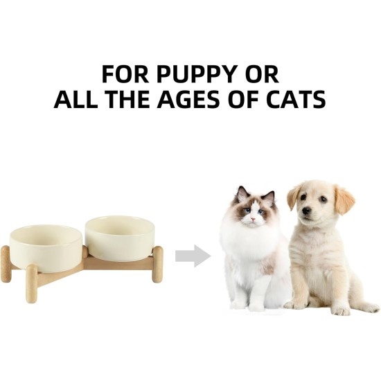 Havniva Ceramic 7.3inch Raised Double Bowls Set with Wooden Stand, Food & Water Bowls for Medium Breed Dogs, Weighted Dog Dishes, Pet Feeder( Light Green) Havniva Ceramic 7.3inch Raised Double Bowls Set with Wooden Stand, Food & Water Bowls for Medium Breed Dogs, Weighted Dog Dishes, Pet Feeder( Light Green)