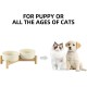 Havniva Ceramic 7.3inch Raised Double Bowls Set with Wooden Stand, Food & Water Bowls for Medium Breed Dogs, Weighted Dog Dishes, Pet Feeder( Light Green) Havniva Ceramic 7.3inch Raised Double Bowls Set with Wooden Stand, Food & Water Bowls for Medium Breed Dogs, Weighted Dog Dishes, Pet Feeder( Light Green)