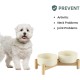 Havniva Ceramic 7.3inch Raised Double Bowls Set with Wooden Stand, Food & Water Bowls for Medium Breed Dogs, Weighted Dog Dishes, Pet Feeder( Light Green) Havniva Ceramic 7.3inch Raised Double Bowls Set with Wooden Stand, Food & Water Bowls for Medium Breed Dogs, Weighted Dog Dishes, Pet Feeder( Light Green)