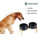 Havniva Ceramic 7.3inch Raised Double Bowls Set with Wooden Stand, Food & Water Bowls for Medium Breed Dogs, Weighted Dog Dishes, Pet Feeder( Light Green) Havniva Ceramic 7.3inch Raised Double Bowls Set with Wooden Stand, Food & Water Bowls for Medium Breed Dogs, Weighted Dog Dishes, Pet Feeder( Light Green)