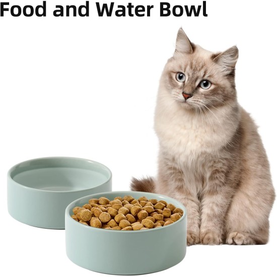 Havniva Ceramic 7.3inch Raised Double Bowls Set with Wooden Stand, Food & Water Bowls for Medium Breed Dogs, Weighted Dog Dishes, Pet Feeder( Light Green) Havniva Ceramic 7.3inch Raised Double Bowls Set with Wooden Stand, Food & Water Bowls for Medium Breed Dogs, Weighted Dog Dishes, Pet Feeder( Light Green)