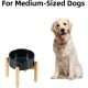 Havniva Ceramic 7.3inch Raised Double Bowls Set with Wooden Stand, Food & Water Bowls for Medium Breed Dogs, Weighted Dog Dishes, Pet Feeder( Light Green) Havniva Ceramic 7.3inch Raised Double Bowls Set with Wooden Stand, Food & Water Bowls for Medium Breed Dogs, Weighted Dog Dishes, Pet Feeder( Light Green)