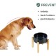Havniva Ceramic 7.3inch Raised Double Bowls Set with Wooden Stand, Food & Water Bowls for Medium Breed Dogs, Weighted Dog Dishes, Pet Feeder( Light Green) Havniva Ceramic 7.3inch Raised Double Bowls Set with Wooden Stand, Food & Water Bowls for Medium Breed Dogs, Weighted Dog Dishes, Pet Feeder( Light Green)