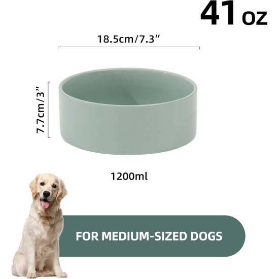Havniva Elevated Ceramic Pet Bowl, 18cm, Raised Pet Bowl with Wooden Stand, Food and Water Bowl for Medium Breeds, Weighted Dog Bowl, Pet Bowl (1.2L, Light Green) Havniva Elevated Ceramic Pet Bowl, 18cm, Raised Pet Bowl with Wooden Stand, Food and Water Bowl for Medium Breeds, Weighted Dog Bowl, Pet Bowl (1.2L, Light Green)