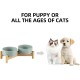 Havniva Elevated Ceramic Pet Bowl, 18cm, Raised Pet Bowl with Wooden Stand, Food and Water Bowl for Medium Breeds, Weighted Dog Bowl, Pet Bowl (1.2L, Light Green) Havniva Elevated Ceramic Pet Bowl, 18cm, Raised Pet Bowl with Wooden Stand, Food and Water Bowl for Medium Breeds, Weighted Dog Bowl, Pet Bowl (1.2L, Light Green)