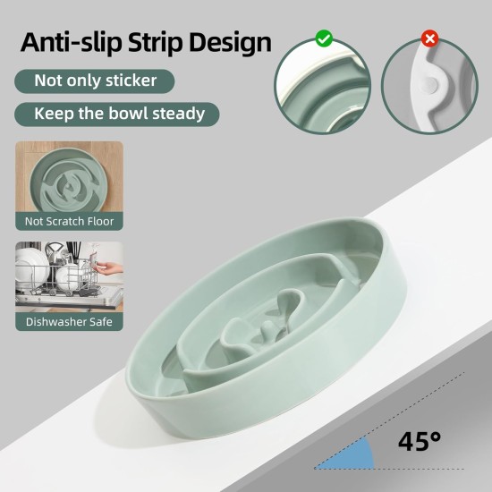 Havniva Small Dog Bowl Ceramic Slow Feeder Bowl for Small Dogs, Slow Feeder Bowl, Slow Drinking, Stops Bloating, Prevents Choking (1 x Light Green + Stand, 15.5cm) Havniva Small Dog Bowl Ceramic Slow Feeder Bowl for Small Dogs, Slow Feeder Bowl, Slow Drinking, Stops Bloating, Prevents Choking (1 x Light Green + Stand, 15.5cm)