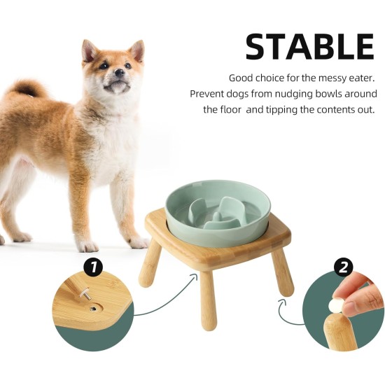 Havniva Small Dog Bowl Ceramic Slow Feeder Bowl for Small Dogs, Slow Feeder Bowl, Slow Drinking, Stops Bloating, Prevents Choking (1 x Light Green + Stand, 15.5cm) Havniva Small Dog Bowl Ceramic Slow Feeder Bowl for Small Dogs, Slow Feeder Bowl, Slow Drinking, Stops Bloating, Prevents Choking (1 x Light Green + Stand, 15.5cm)