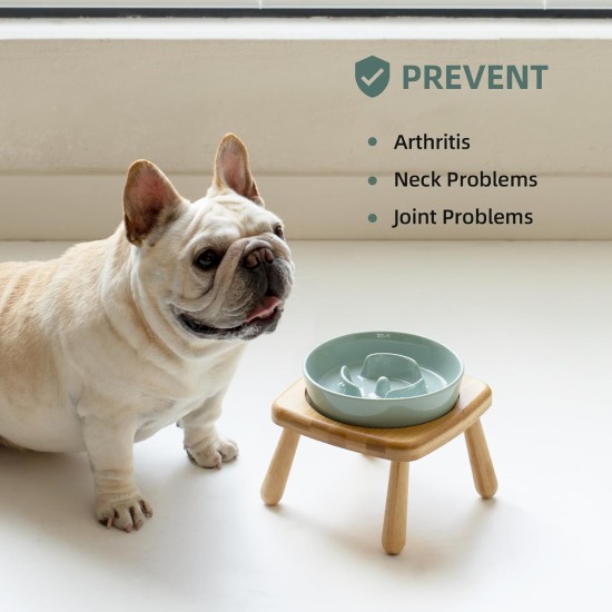 Havniva Small Dog Bowl Ceramic Slow Feeder Bowl for Small Dogs, Slow Feeder Bowl, Slow Drinking, Stops Bloating, Prevents Choking (1 x Light Green + Stand, 15.5cm) Havniva Small Dog Bowl Ceramic Slow Feeder Bowl for Small Dogs, Slow Feeder Bowl, Slow Drinking, Stops Bloating, Prevents Choking (1 x Light Green + Stand, 15.5cm)