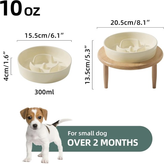 Havniva Small Dog Bowl Ceramic Slow Feeder Bowl for Small Dogs, Slow Feeder Bowl, Slow Drinking, Stops Bloating, Prevents Choking (1 x Light Green + Stand, 15.5cm) Havniva Small Dog Bowl Ceramic Slow Feeder Bowl for Small Dogs, Slow Feeder Bowl, Slow Drinking, Stops Bloating, Prevents Choking (1 x Light Green + Stand, 15.5cm)