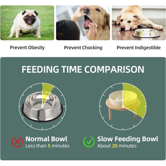 Havniva Small Dog Bowl Ceramic Slow Feeder Bowl for Small Dogs, Slow Feeder Bowl, Slow Drinking, Stops Bloating, Prevents Choking (1 x Light Green + Stand, 15.5cm) Havniva Small Dog Bowl Ceramic Slow Feeder Bowl for Small Dogs, Slow Feeder Bowl, Slow Drinking, Stops Bloating, Prevents Choking (1 x Light Green + Stand, 15.5cm)