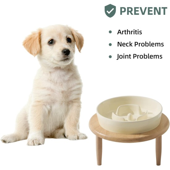 Havniva Small Dog Bowl Ceramic Slow Feeder Bowl for Small Dogs, Slow Feeder Bowl, Slow Drinking, Stops Bloating, Prevents Choking (1 x Light Green + Stand, 15.5cm) Havniva Small Dog Bowl Ceramic Slow Feeder Bowl for Small Dogs, Slow Feeder Bowl, Slow Drinking, Stops Bloating, Prevents Choking (1 x Light Green + Stand, 15.5cm)