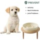 Havniva Small Dog Bowl Ceramic Slow Feeder Bowl for Small Dogs, Slow Feeder Bowl, Slow Drinking, Stops Bloating, Prevents Choking (1 x Light Green + Stand, 15.5cm) Havniva Small Dog Bowl Ceramic Slow Feeder Bowl for Small Dogs, Slow Feeder Bowl, Slow Drinking, Stops Bloating, Prevents Choking (1 x Light Green + Stand, 15.5cm)