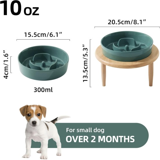 Havniva Small Dog Bowl Ceramic Slow Feeder Bowl for Small Dogs, Slow Feeder Bowl, Slow Drinking, Stops Bloating, Prevents Choking (1 x Light Green + Stand, 15.5cm) Havniva Small Dog Bowl Ceramic Slow Feeder Bowl for Small Dogs, Slow Feeder Bowl, Slow Drinking, Stops Bloating, Prevents Choking (1 x Light Green + Stand, 15.5cm)