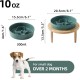 Havniva Small Dog Bowl Ceramic Slow Feeder Bowl for Small Dogs, Slow Feeder Bowl, Slow Drinking, Stops Bloating, Prevents Choking (1 x Light Green + Stand, 15.5cm) Havniva Small Dog Bowl Ceramic Slow Feeder Bowl for Small Dogs, Slow Feeder Bowl, Slow Drinking, Stops Bloating, Prevents Choking (1 x Light Green + Stand, 15.5cm)