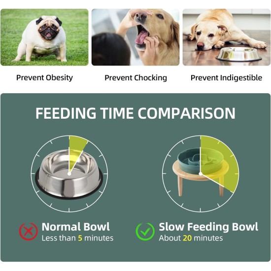 Havniva Small Dog Bowl Ceramic Slow Feeder Bowl for Small Dogs, Slow Feeder Bowl, Slow Drinking, Stops Bloating, Prevents Choking (1 x Light Green + Stand, 15.5cm) Havniva Small Dog Bowl Ceramic Slow Feeder Bowl for Small Dogs, Slow Feeder Bowl, Slow Drinking, Stops Bloating, Prevents Choking (1 x Light Green + Stand, 15.5cm)