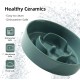 Havniva Small Dog Bowl Ceramic Slow Feeder Bowl for Small Dogs, Slow Feeder Bowl, Slow Drinking, Stops Bloating, Prevents Choking (1 x Light Green + Stand, 15.5cm) Havniva Small Dog Bowl Ceramic Slow Feeder Bowl for Small Dogs, Slow Feeder Bowl, Slow Drinking, Stops Bloating, Prevents Choking (1 x Light Green + Stand, 15.5cm)