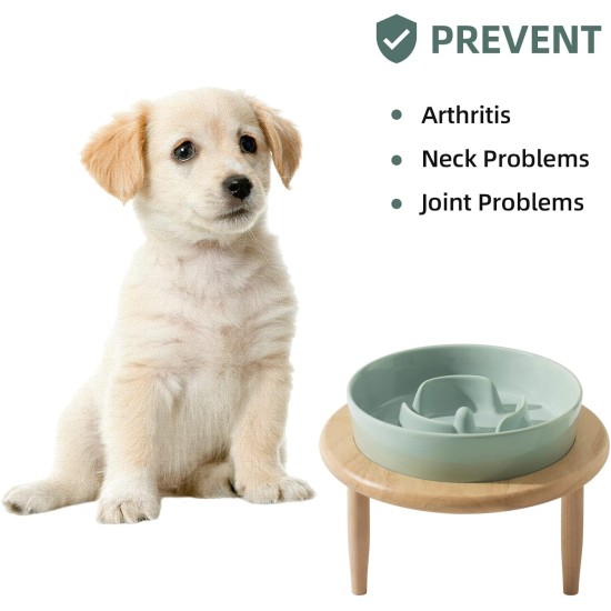 Havniva Small Dog Bowl Ceramic Slow Feeder Bowl for Small Dogs, Slow Feeder Bowl, Slow Drinking, Stops Bloating, Prevents Choking (1 x Light Green + Stand, 15.5cm) Havniva Small Dog Bowl Ceramic Slow Feeder Bowl for Small Dogs, Slow Feeder Bowl, Slow Drinking, Stops Bloating, Prevents Choking (1 x Light Green + Stand, 15.5cm)