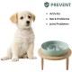 Havniva Small Dog Bowl Ceramic Slow Feeder Bowl for Small Dogs, Slow Feeder Bowl, Slow Drinking, Stops Bloating, Prevents Choking (1 x Light Green + Stand, 15.5cm) Havniva Small Dog Bowl Ceramic Slow Feeder Bowl for Small Dogs, Slow Feeder Bowl, Slow Drinking, Stops Bloating, Prevents Choking (1 x Light Green + Stand, 15.5cm)