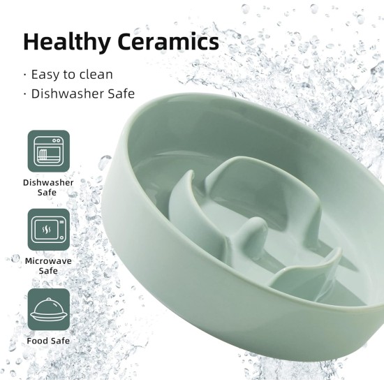 Havniva Small Dog Bowl Ceramic Slow Feeder Bowl for Small Dogs, Slow Feeder Bowl, Slow Drinking, Stops Bloating, Prevents Choking (1 x Light Green + Stand, 15.5cm) Havniva Small Dog Bowl Ceramic Slow Feeder Bowl for Small Dogs, Slow Feeder Bowl, Slow Drinking, Stops Bloating, Prevents Choking (1 x Light Green + Stand, 15.5cm)