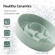 Havniva Small Dog Bowl Ceramic Slow Feeder Bowl for Small Dogs, Slow Feeder Bowl, Slow Drinking, Stops Bloating, Prevents Choking (1 x Light Green + Stand, 15.5cm) Havniva Small Dog Bowl Ceramic Slow Feeder Bowl for Small Dogs, Slow Feeder Bowl, Slow Drinking, Stops Bloating, Prevents Choking (1 x Light Green + Stand, 15.5cm)