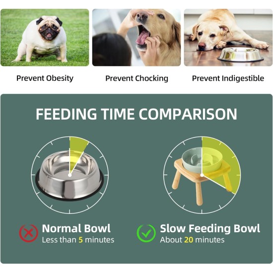 Havniva Small Dog Bowl Ceramic Slow Feeder Bowl for Small Dogs, Slow Feeder Bowl, Slow Drinking, Stops Bloating, Prevents Choking (1 x Light Green + Stand, 15.5cm) Havniva Small Dog Bowl Ceramic Slow Feeder Bowl for Small Dogs, Slow Feeder Bowl, Slow Drinking, Stops Bloating, Prevents Choking (1 x Light Green + Stand, 15.5cm)