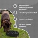 Holland Animal Care Eat Slow Feeder - Large - Grey Holland Animal Care Eat Slow Feeder - Large - Grey