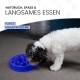 Holland Animal Care Eat Slow Feeder - Small - Red Holland Animal Care Eat Slow Feeder - Small - Red