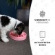 Holland Animal Care Eat Slow Feeder - Small - Red Holland Animal Care Eat Slow Feeder - Small - Red