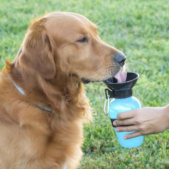 InnovaGoods ig117216 Bottle Water Drinker For Dogs InnovaGoods ig117216 Bottle Water Drinker For Dogs