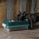 Iris Ohyama, Bowls, 2 Raised Slow Feeding Bowls, Dog Bowl, L29 x W57 x H31 cm, Set of 2, Foldable and Digestive Friendly, PEF-L, for Dogs, Grey Iris Ohyama, Bowls, 2 Raised Slow Feeding Bowls, Dog Bowl, L29 x W57 x H31 cm, Set of 2, Foldable and Digestive Friendly, PEF-L, for Dogs, Grey