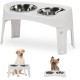 Iris Ohyama, Set of 2 Raised Slow Feeder Bowls, Dog Feeding Bowls, D29 x W54 x H31 cm, Set of 2, Foldable and Digestive Friendly, PEF-L, for Dogs, White
