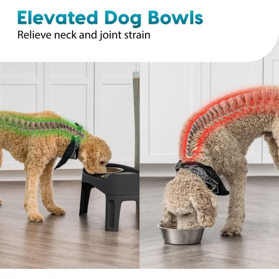 Iris Ohyama, Set of 2 Raised Slow Feeder Bowls, Dog Feeding Bowls, D29 x W54 x H31 cm, Set of 2, Foldable and Digestive Friendly, PEF-L, for Dogs, White Iris Ohyama, Set of 2 Raised Slow Feeder Bowls, Dog Feeding Bowls, D29 x W54 x H31 cm, Set of 2, Foldable and Digestive Friendly, PEF-L, for Dogs, White