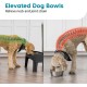 Iris Ohyama, Set of 2 Raised Slow Feeder Bowls, Dog Feeding Bowls, D29 x W54 x H31 cm, Set of 2, Foldable and Digestive Friendly, PEF-L, for Dogs, White