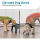Iris Ohyama, Set of 2 Raised Slow Feeder Bowls, Dog Feeding Bowls, D29 x W54 x H31 cm, Set of 2, Foldable and Digestive Friendly, PEF-L, for Dogs, White