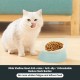 JWPC Bulldog Pet Bowl, Non-Slip Dog Cat Feeding Bowl, Removable Rubber Feeding Bowl, Sterile, Inclined with Slanted Base (Grey, 2 Cup) JWPC Bulldog Pet Bowl, Non-Slip Dog Cat Feeding Bowl, Removable Rubber Feeding Bowl, Sterile, Inclined with Slanted Base (Grey, 2 Cup)