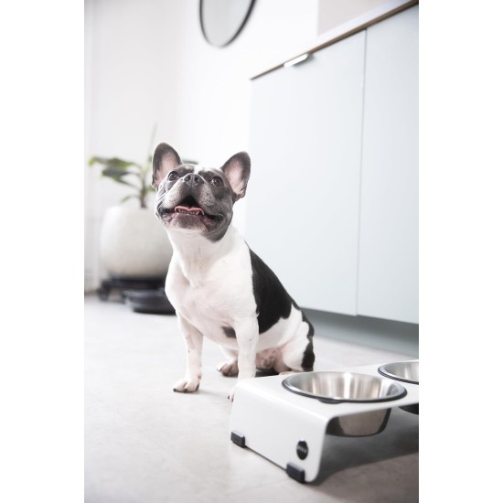 Jaska ARC Dog Bar Raised Feeding Station Stainless Steel and Steel (Grey, XL) Jaska ARC Dog Bar Raised Feeding Station Stainless Steel and Steel (Grey, XL)