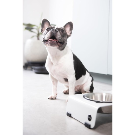 Jaska ARC Dog Bar Raised Feeding Station Stainless Steel and Steel (Grey, XL) Jaska ARC Dog Bar Raised Feeding Station Stainless Steel and Steel (Grey, XL)